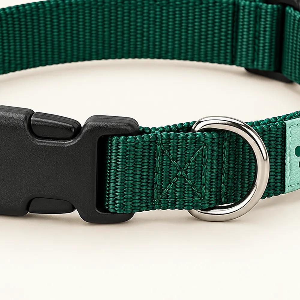 Close-up of the Everyday Collar quick-release buckle and mint Wagz tab