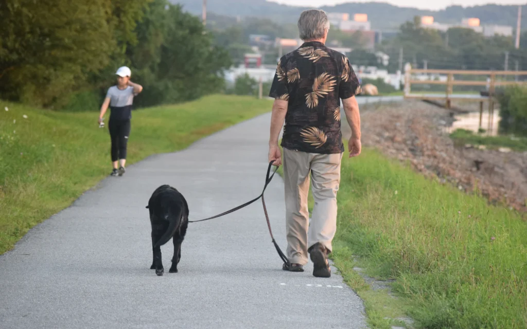 Person walking a black dog on a lead along a riverside path
