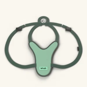 Comfort Walk Harness