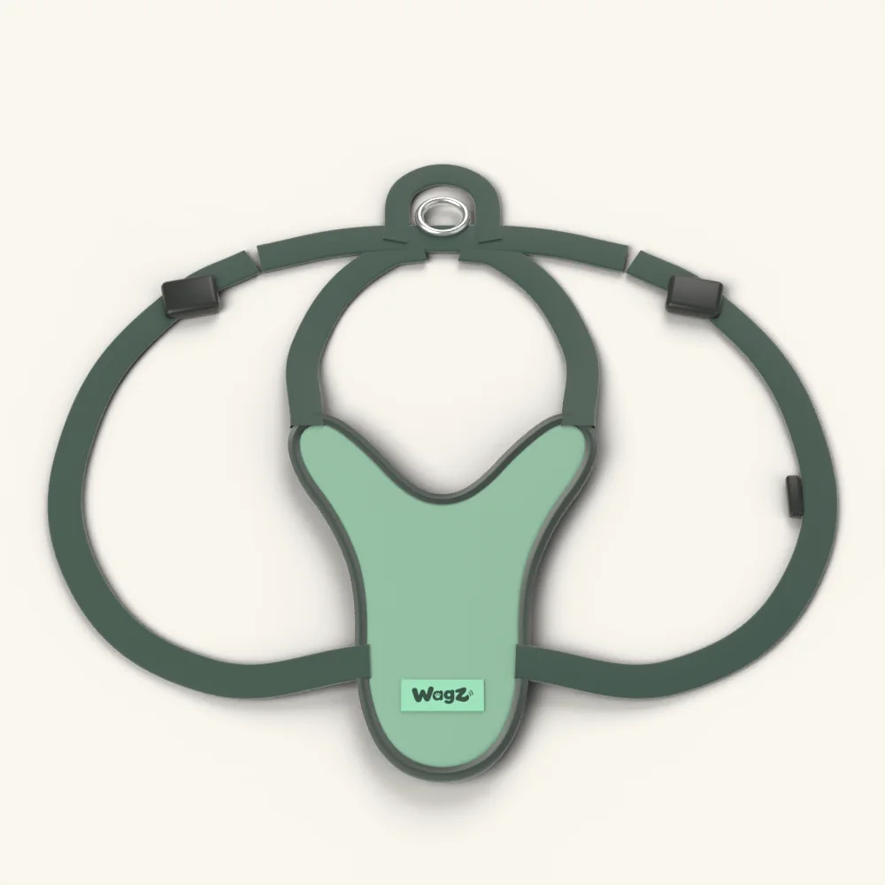 Comfort Walk Harness