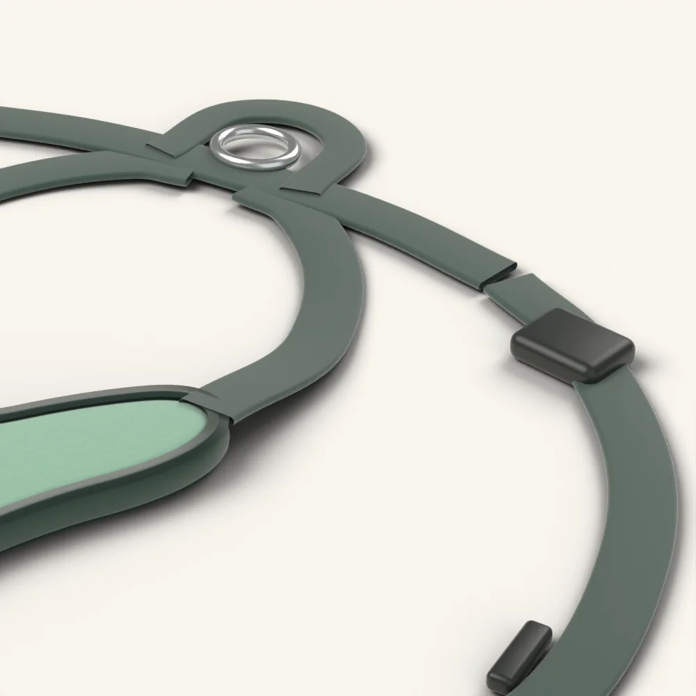 Close-up of the harness quick-release buckle and aluminium lead ring